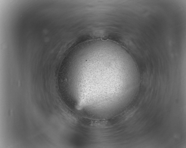 X0000067401201200604071811