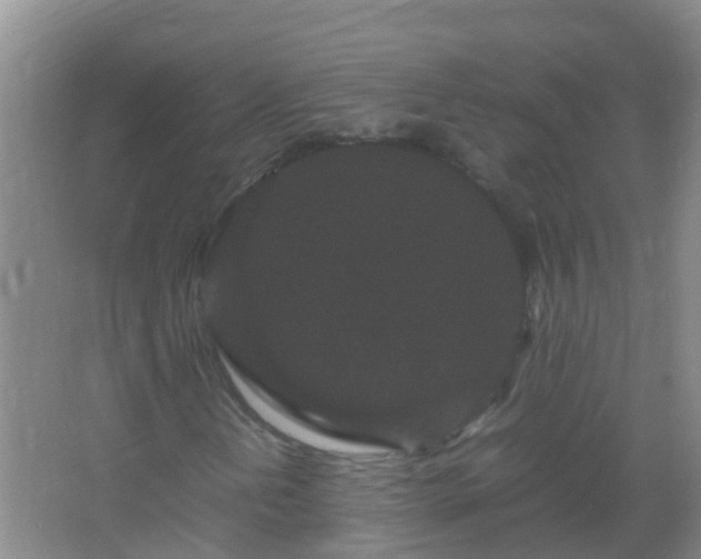 X0000067401202200604071811