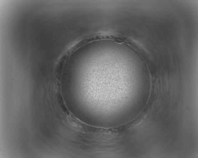 X0000067401207200604071811