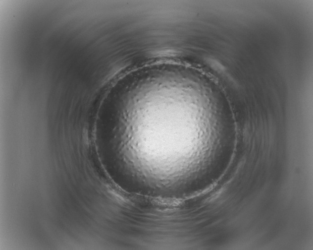 X0000067401209200604071811