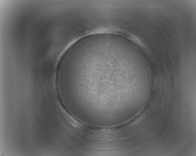 X0000067401216200604071811