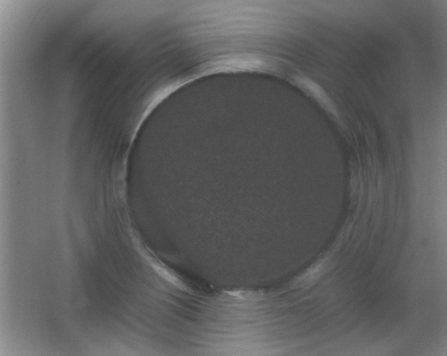 X0000067401226200604071812