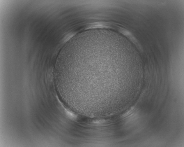 X0000067401233200604071812
