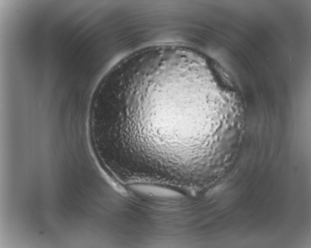 X0000067401237200604071812