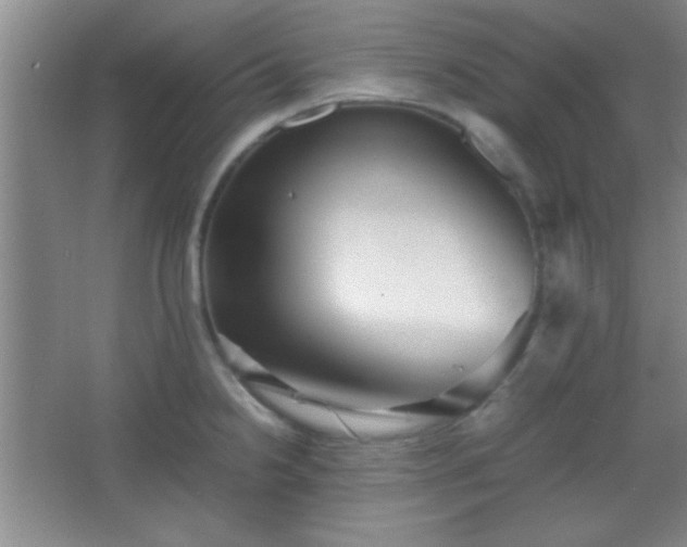 X0000067401238200604071812