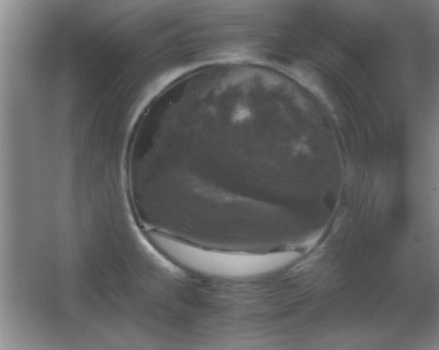X0000067401239200604071812