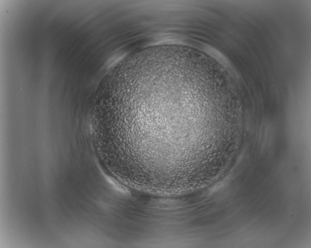 X0000067401241200604071812