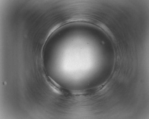 X0000067401242200604071812