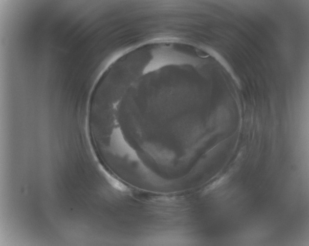 X0000067401245200604071812