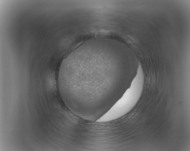 X0000067401252200604071811
