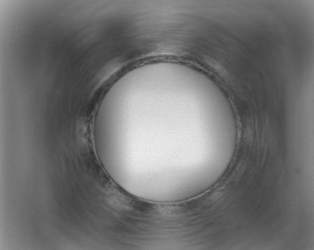 X0000067401258200604071811