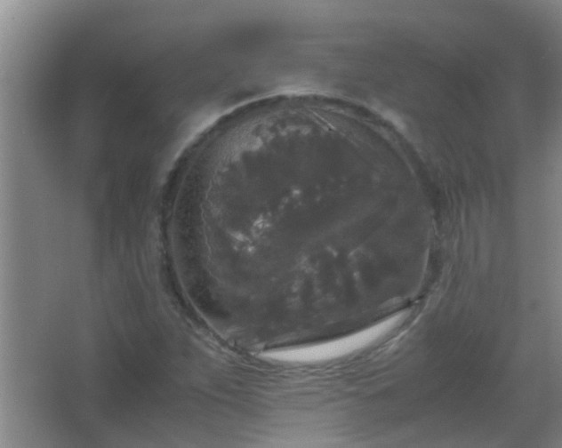 X0000067401263200604071811