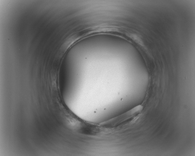 X0000067401273200604071811