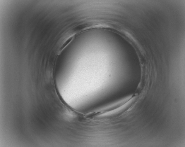 X0000067401281200604071811