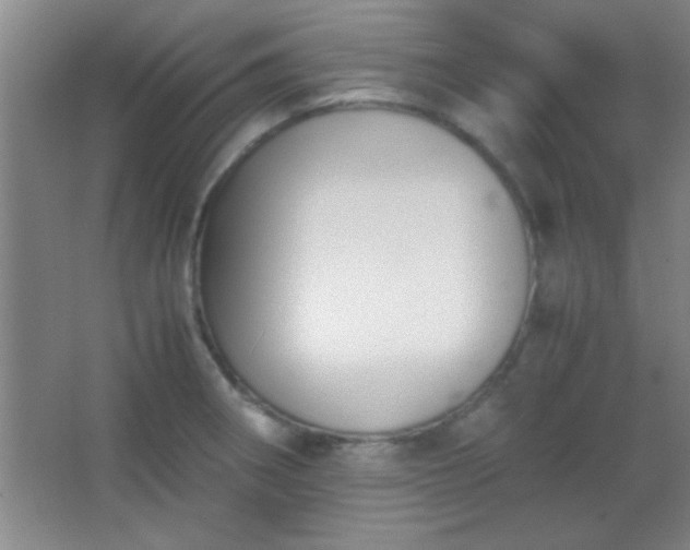 X0000067401282200604071811