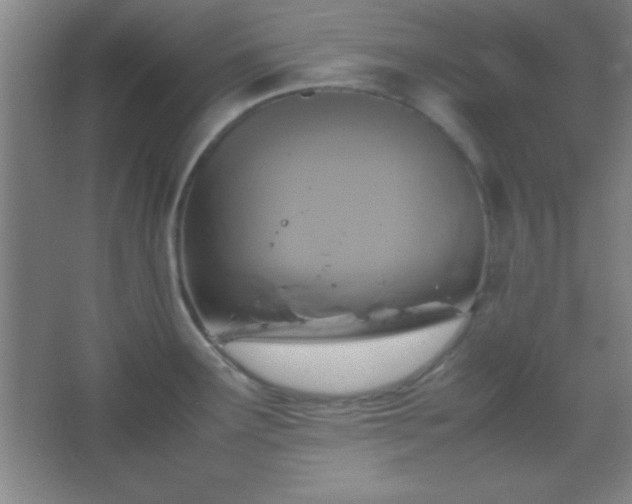 X0000067401291200604071810
