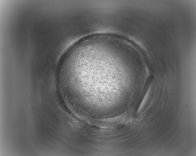 X0000067401311200604071810