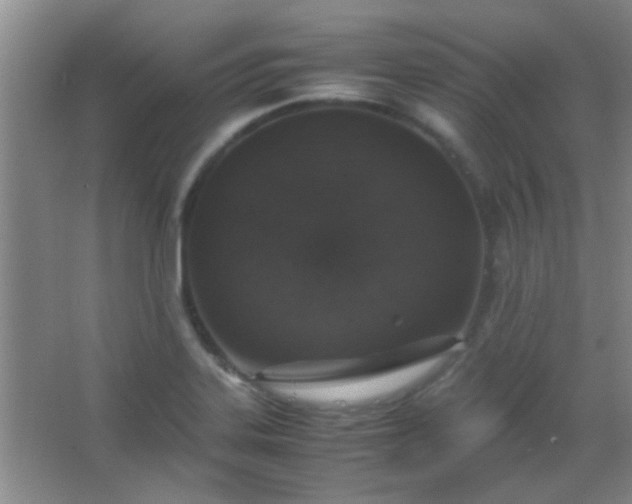 X0000067401323200604071810