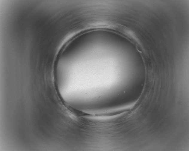 X0000067401328200604071810