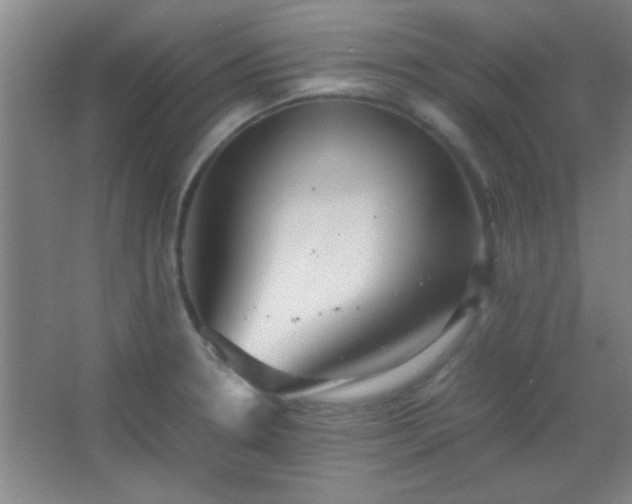 X0000067401330200604071810