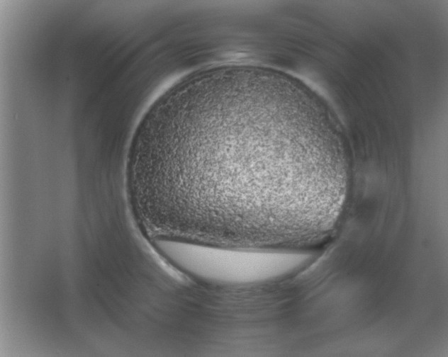 X0000067401333200604071810