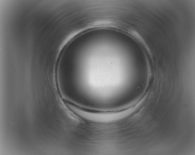 X0000067401336200604071810