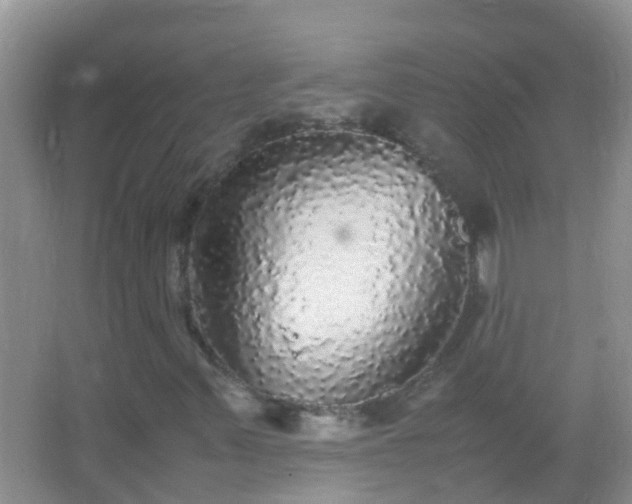 X0000067401347200604071809