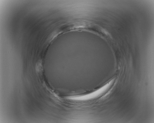 X0000067401353200604071809