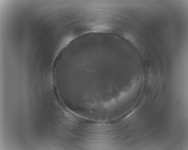 X0000067401362200604071809