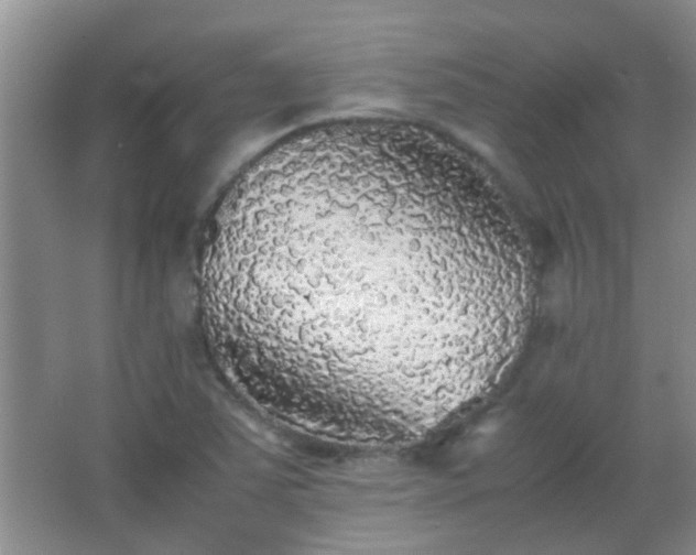 X0000067401363200604071809