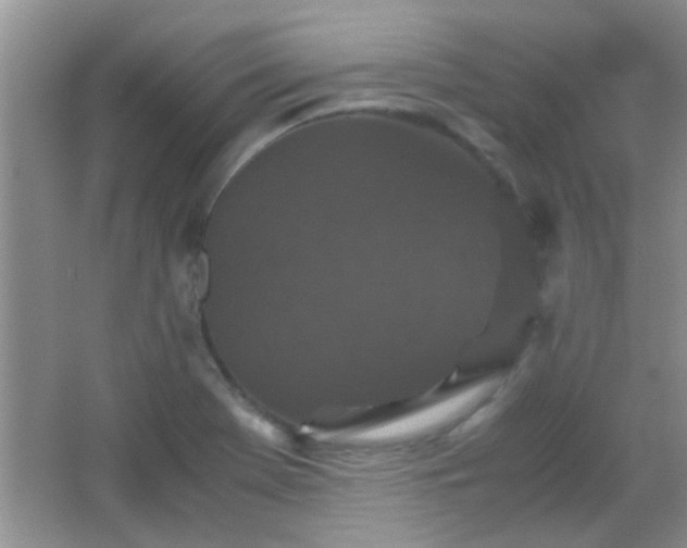 X0000067401369200604071809