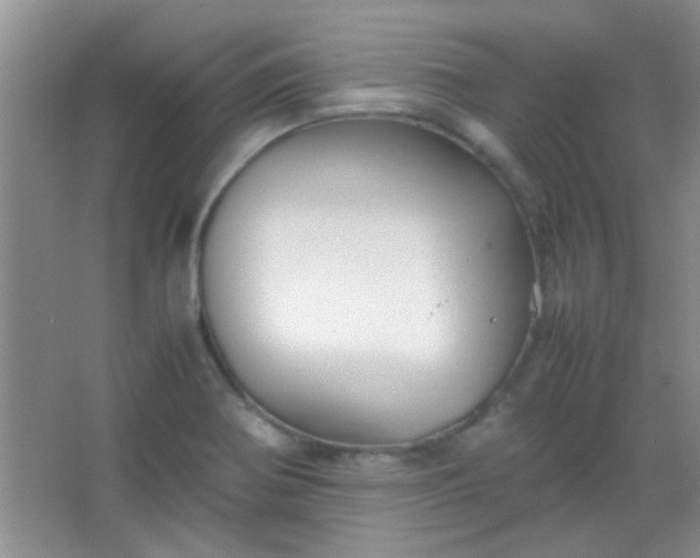 X0000067401370200604071809