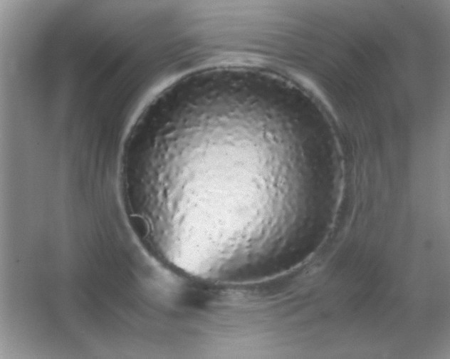 X0000067401379200604071809