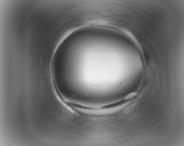 X0000067401389200604071809