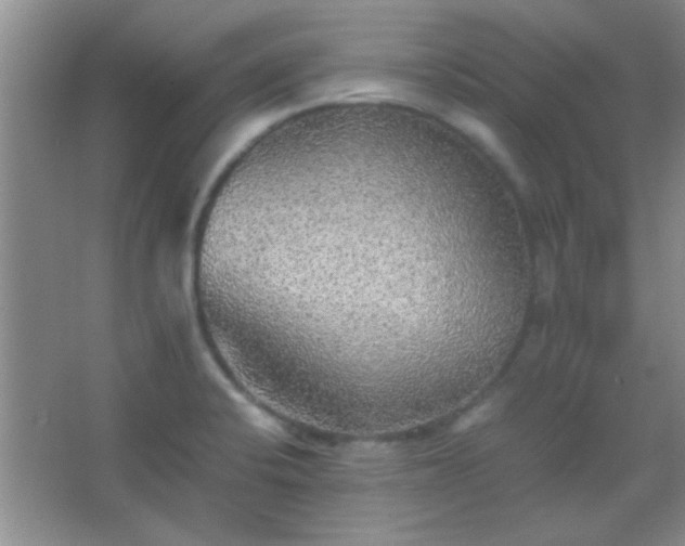 X0000067401424200604071808