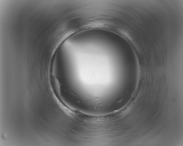 X0000067401426200604071808