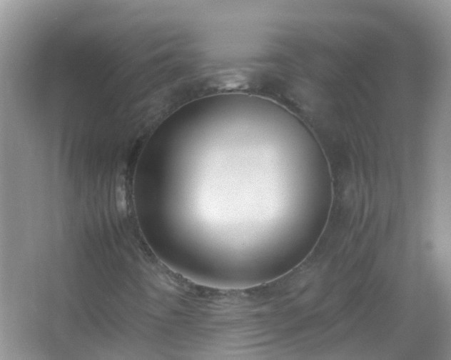 X0000067401442200604071808