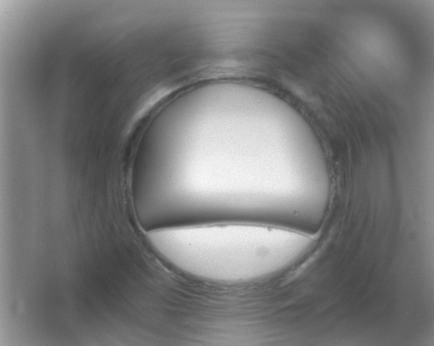 X0000067401453200604071808