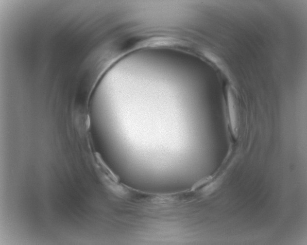X0000067401473200604071807