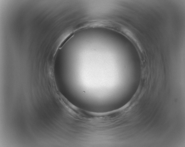 X0000067401481200604071807