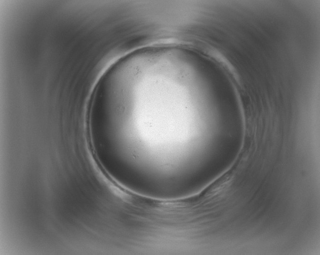 X0000067401483200604071807
