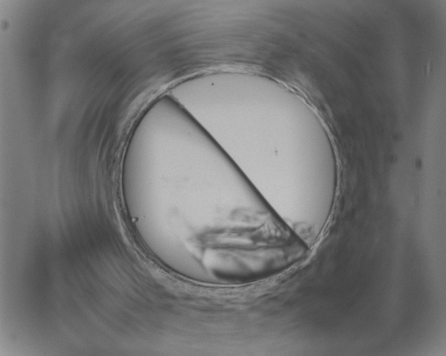 X0000067400001200604132008