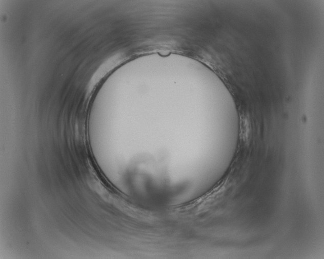 X0000067400004200604132008