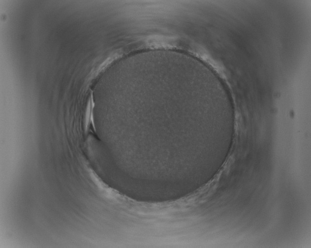 X0000067400009200604132008