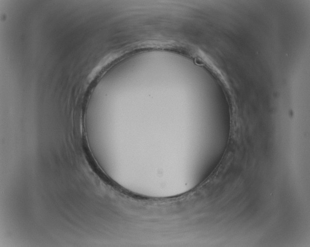 X0000067400011200604132008