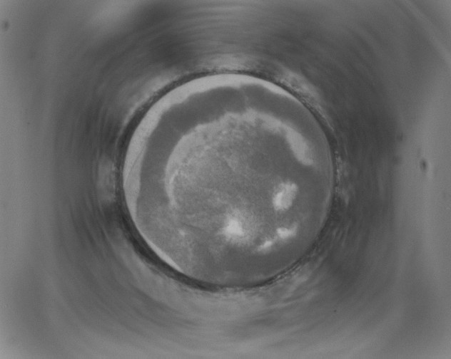 X0000067400012200604132008