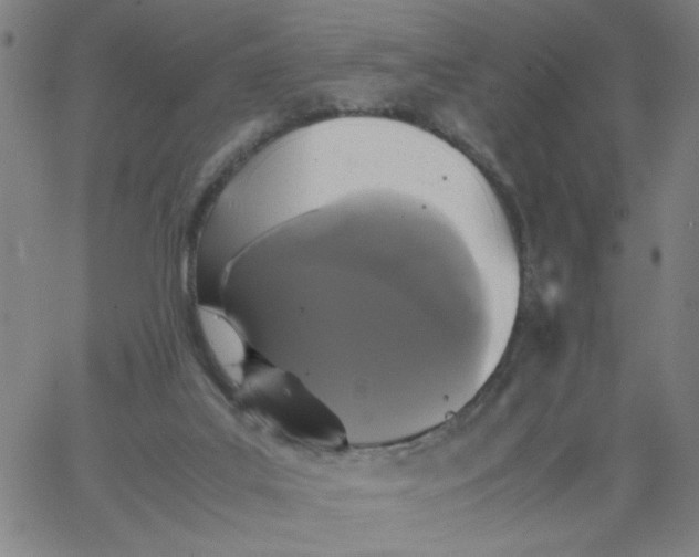 X0000067400019200604132008