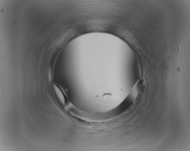 X0000067400021200604132008