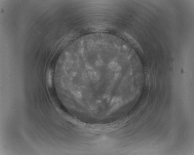X0000067400026200604132008