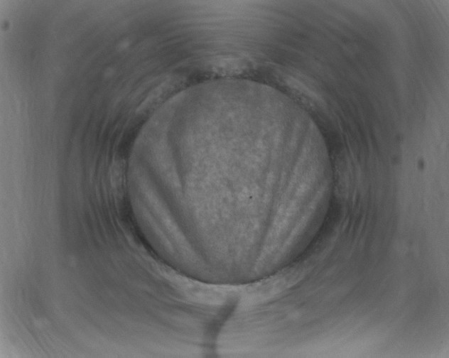 X0000067400034200604132008